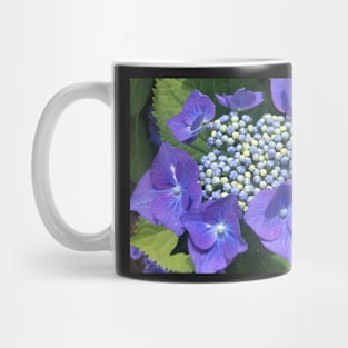 A Perfect Blue Hydrangea Bloom Mug